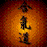 aikido.jpg